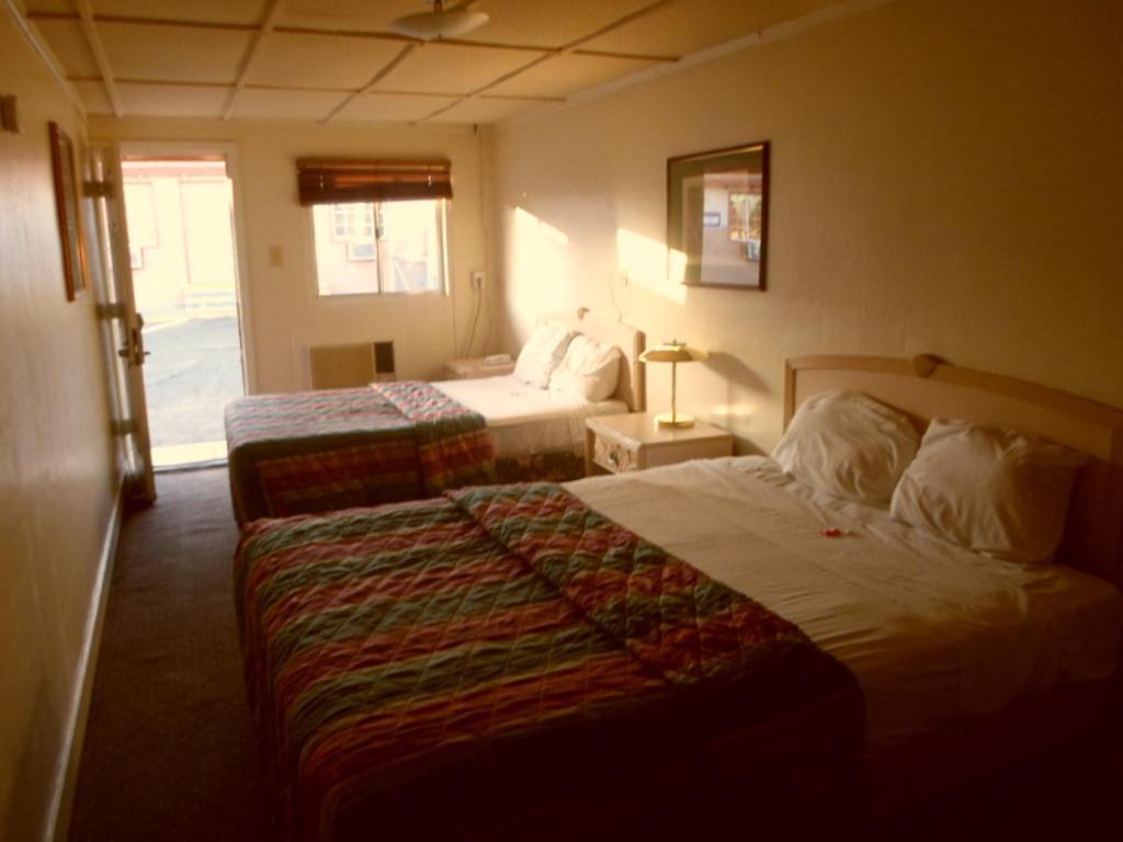 Desert Moon Motel Las Vegas Room photo